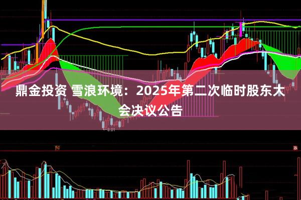鼎金投资 雪浪环境：2025年第二次临时股东大会决议公告