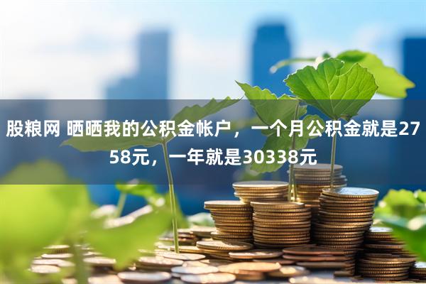 股粮网 晒晒我的公积金帐户，一个月公积金就是2758元，一年就是30338元