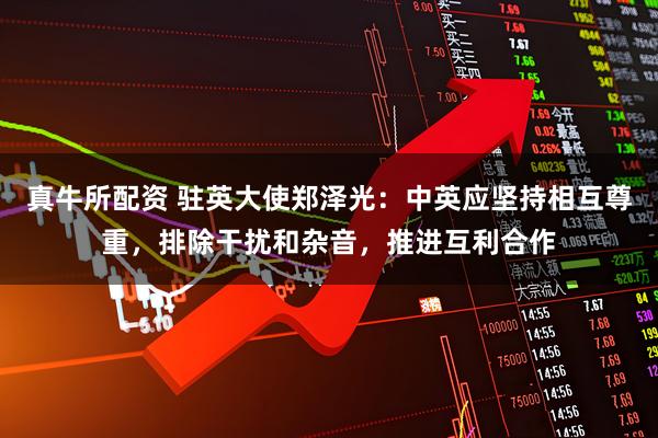 真牛所配资 驻英大使郑泽光：中英应坚持相互尊重，排除干扰和杂音，推进互利合作