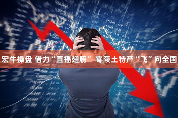 宏牛操盘 借力“直播翅膀” 零陵土特产“飞”向全国