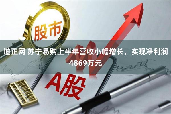 道正网 苏宁易购上半年营收小幅增长，实现净利润4869万元